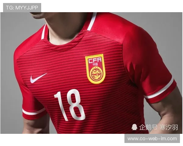 足球球星球衣价格揭秘 各大品牌球衣的市场价格差异及影响因素分析